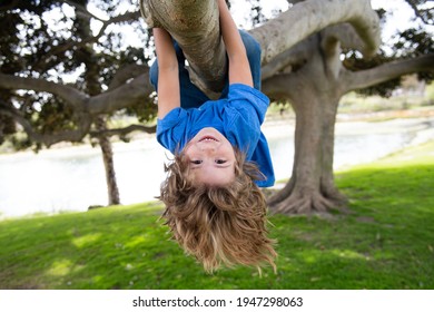 23,467 Kids climbing on tree Images, Stock Photos & Vectors | Shutterstock