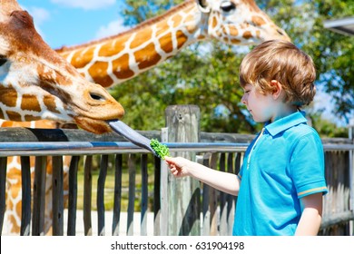 Little Kid Boy Watching And Feeding Giraffe In Zoo. Happy Child Having Fun With Animals Safari Park On Warm Summer Day.