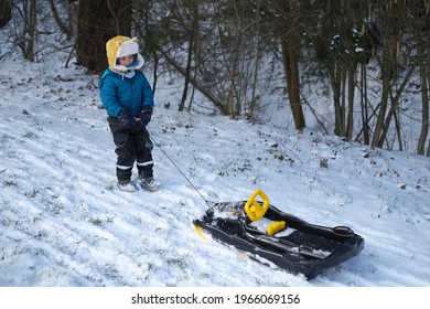 Little Kid Child Boy Playing Snow BOB Sled Having Fun In The Snowy Wintertime.