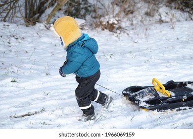 Little Kid Child Boy Playing Snow BOB Sled Having Fun In The Snowy Wintertime.