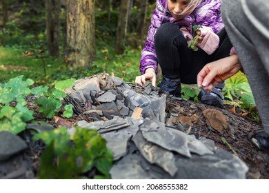 Little Kid Collecting And Exploring Dark Grey Shale Slate Natural Rock Fossil At Walk In Forest With Family Outdoors. Child Searching Fossil Formation At Mountain Woods Park Outside