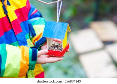 Little Kid Feeding Birds In Winter. Child Hanging Colorful Selfmade Bird House On Tree On Frosty Cold Day. Toddler In Colorful Wam Clothes. Selective Focus On Hands And Feeder With Seeds