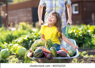 little kid girl inside wheelbarrow with vegetables in the garden