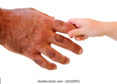 Confirm. mom hairy finger remarkable Mom hairy finger