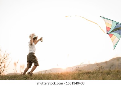 Little kid with kite on meadow - Shutterstock ID 1531340438
