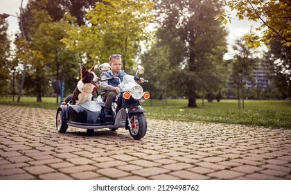 Little Kid Making Frowning Face On A Electrical Bike, Driving A Dog In Sidecar