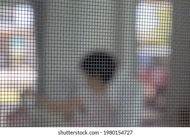 Little Kid Playing Inside The House Under Mosquito Net