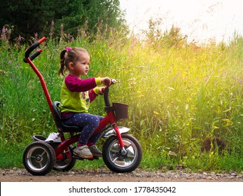 Little Kid Riding A Tricycle On A Sunny Summer Day In The Meadow