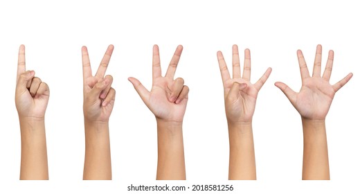 Little kid showing one to five fingers count signs isolated on white background with Clipping path included. Communication gestures concept