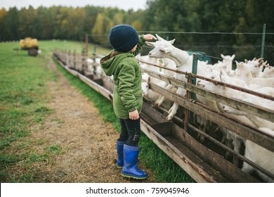 Kleine Kinder spielen und füttern mit Ziegen auf dem Ziegenkäse-Bauernhof im Freien