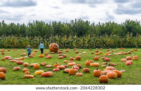 Little Kids Playing at a Pumpkin Patch.  