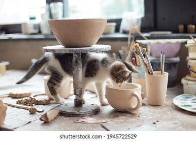 Little Kitten At Ceramist Craft Studio The Process Of Creating Pottery. Workplace Of Potter