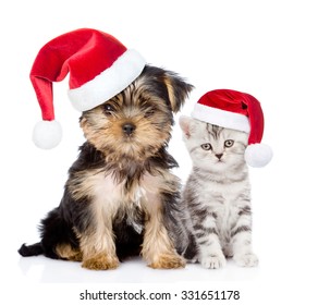 Little kitten and puppy  in red christmas hats sitting together. isolated on white background