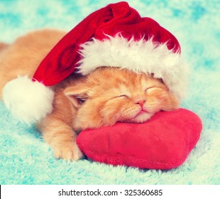 Little kitten wearing santa hat sleeping on the red pillow  - Powered by Shutterstock