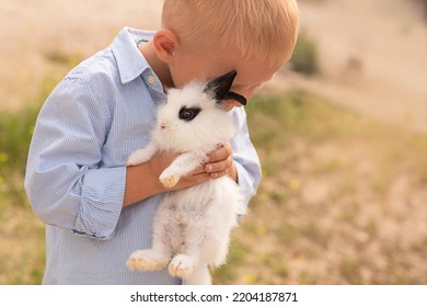 A Little Land Boy Gently Hugs A Pet Rabbit. Rabbit Park.