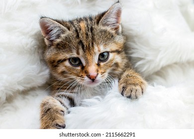 1 186 Hiding Toes Images Stock Photos Vectors Shutterstock