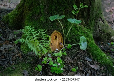 Little Magic Wooden Fairy Door And Flowers In Tree Trunk, Natural Green Background. Fairytale Pixie Or Elf House In Mystery Forest. Eco-home