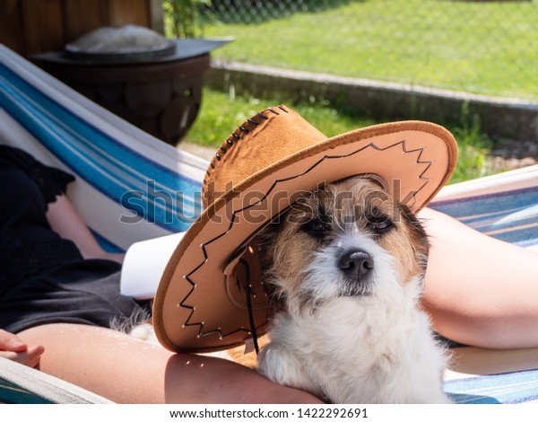Little mongrel dog with sun hat in a\
hammock, vacation home, taking a break, young\
woman\

