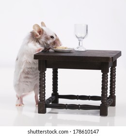 Little mouse dines at the table