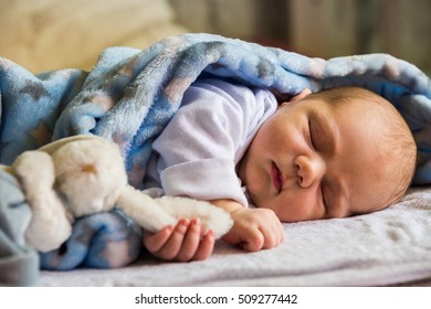 Little Newborn Baby Boy With Bunny Toy Sleeping Under A Blue Fleece Blanket, Shallow Dof