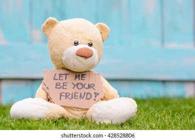 Little old teddy bear sitting on the grass in the garden and holding a piece of cardboard with the information - Let Me be Your Friend