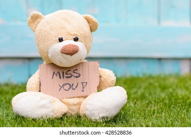 Little old teddy bear sitting on the grass in the garden and holding a piece of cardboard with the information - Miss You