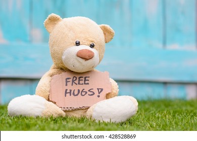 Little old teddy bear sitting on the grass in the garden and holding a piece of cardboard with the information - Free Hugs !