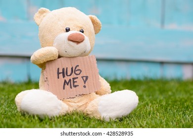 Little old teddy bear sitting on the grass in the garden and holding a piece of cardboard with the information - hug me