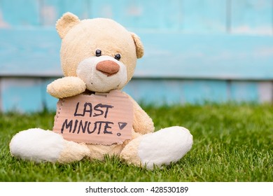 Little old teddy bear sitting on the grass in the garden and holding a piece of cardboard with the information - Last Minute