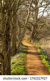 Little Ouse River Path In Santon Downham And Brandon, West Suffolk, England, United Kingdom 