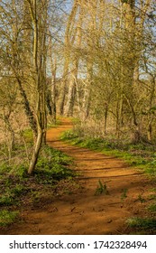 Little Ouse River Path In Santon Downham And Brandon, West Suffolk, England, United Kingdom 