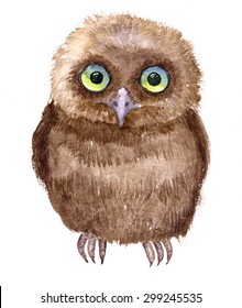 Little owl drawing by watercolor, artistic painting bird, cute fluffy nestling, hand drawn illustration