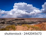 Little Painted Desert, Winslow, Arizona, USA, America.