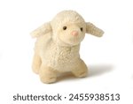little plush lamb, children