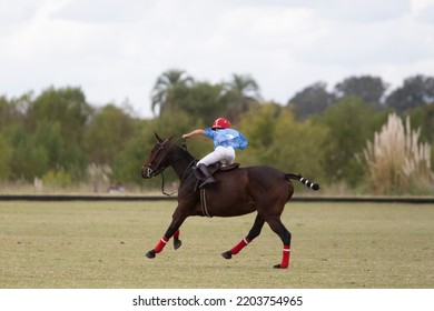 Little Polo Player In Polo Field Match