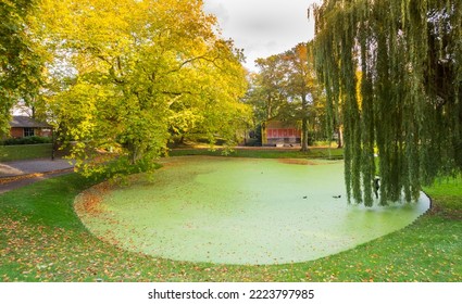 Little pond in the historic Prinsentuin park in Leeuwarden, Netherlands