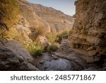 The little pond with the stairs for hiking at the valley of Ein Gedi reserve, the eastern part of Israel at the border with Jordan.
