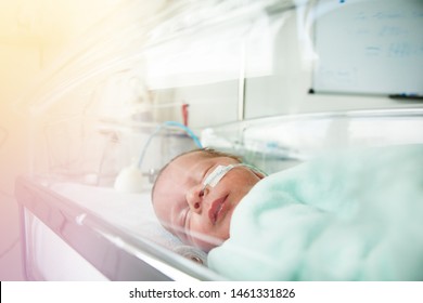Little premature born child through hospital crib