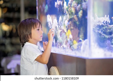 Little preschool child watching fish tank, aquarium with colorful fishes and corals - Powered by Shutterstock