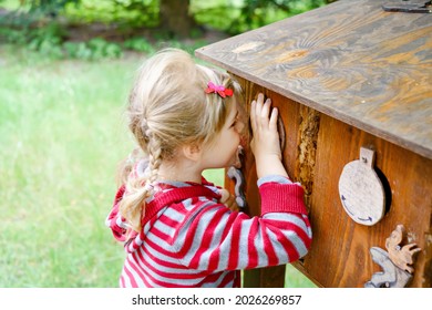 Little Preschool Girl Exploring Life Of Squirrels In Forest. Active Happy Child Learning About Food Of Animals. Children And Environment, Forest Life And Wild Nature.