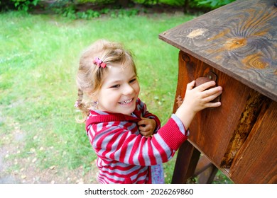 Little Preschool Girl Exploring Life Of Squirrels In Forest. Active Happy Child Learning About Food Of Animals. Children And Environment, Forest Life And Wild Nature.