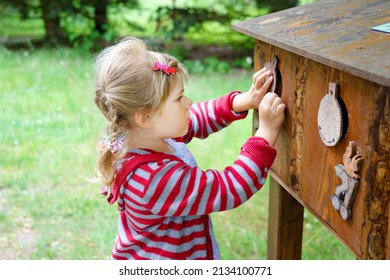 Little Preschool Girl Exploring Life Of Squirrels In Forest. Active Happy Child Learning About Food Of Animals. Children And Environment, Forest Life And Wild Nature.