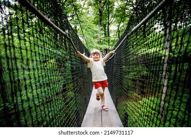 little preschool girl walking on high tree-canopy trail with wooden walkway and ropeways on Hoherodskopf Germany. Happy active child exploring treetop path. Funny activity for families outdoors