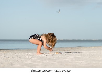 Little Preschool Toddler Girl With Curly Hair Playing On The Beach Shelling And Collecting Sea Shells In Florida While On Family Vacation And Wearing A Swimsuit
