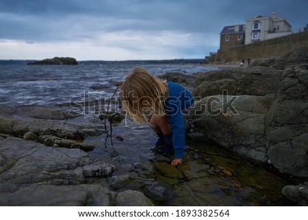 Similar – Beach scene