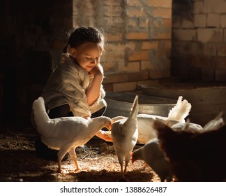 Little pretty girl feeding white chicken in henhouse on sunny day - Powered by Shutterstock