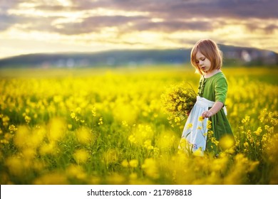 A little pretty girl in a green Bavarian dress with a white apron picking flowers in the field of flowering yellow mustard on a sunny summer  day. Kids and nature. Children in country. Beautiful flora