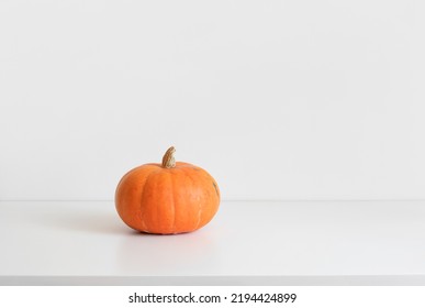 Little pumpkin on a white background with copy space. Thanksgiving or autumn minimal concept. Ripe orange pumpkin.