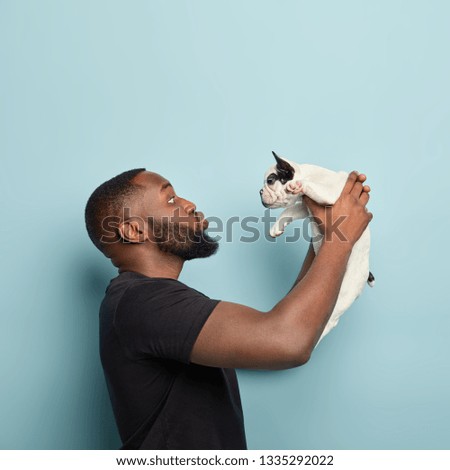 Little puppy finally finds new home. Caring dark skinned man stands sideways, holds small french bulldog, satisfied with habits and food preferences of pet, wants to kiss lovely domestic animal