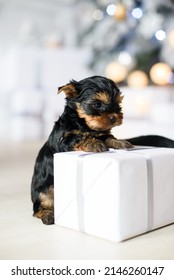 Little Puppy Leaning On A Gift Against The Background Of A Christmas Tree With Lights